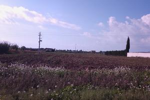 Terreno edificabile (zona T) Lido Fiori - Menfi