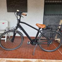 Bicicletta elettrica