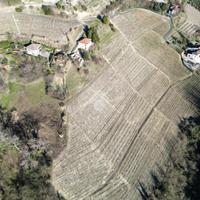 TER. AGRICOLO A CALOSSO