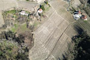 TER. AGRICOLO A CALOSSO