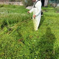 pulizia terreni con decespugliatori