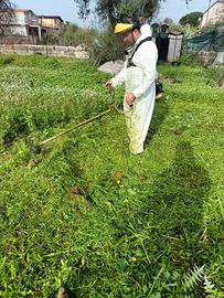 pulizia terreni con decespugliatori