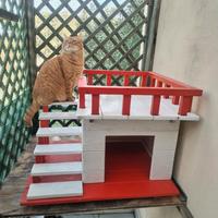 Cuccia in legno per gatti o cani di piccola taglia