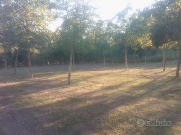 Terreno Agricolo