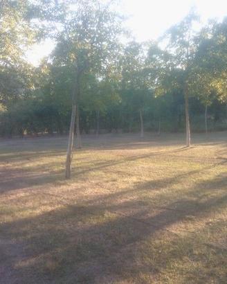 Terreno Agricolo