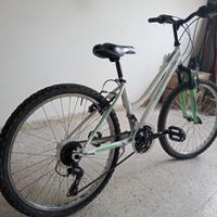 Bicicletta MTB cerchio 24