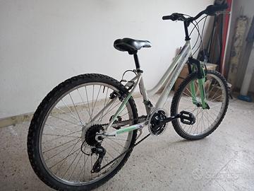 Bicicletta MTB cerchio 24