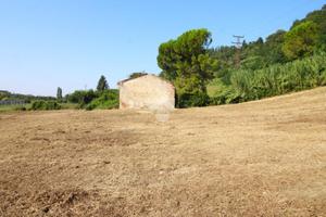 CASA INDIPENDENTE A CESENA