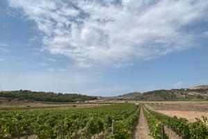 Terreno agricolo con impianto