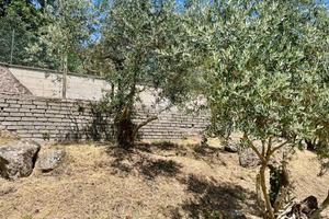 TER. AGRICOLO A SORIANO NEL CIMINO