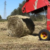 Fieno spontaneo TRIFOGLIO LOIETTO E AVENA