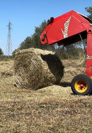 Fieno spontaneo TRIFOGLIO LOIETTO E AVENA