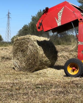 Fieno spontaneo TRIFOGLIO LOIETTO E AVENA