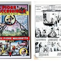"IL FIORE INACCESSIBILE" VOLPE di E. Bagnoli