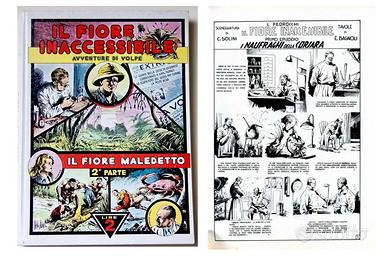 "IL FIORE INACCESSIBILE" VOLPE di E. Bagnoli