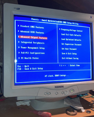 Monitor CRT 17" Philips 107S/51 – Perfetto per Ret