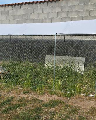 gabbia per cani