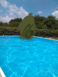 Piscina laghetto 