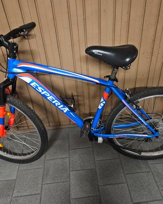 Bicicletta in buonissimi condizioni, usata poco