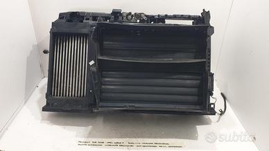 CALANDRA CON KIT RADIATORI PEUGEOT 2008 Serie 1138