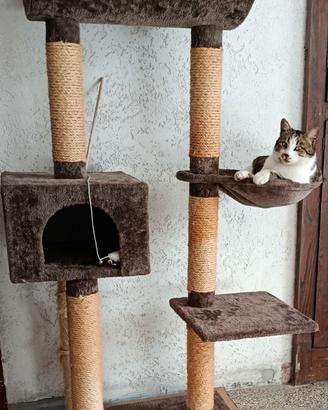 Castello per gatti con tiragraffi