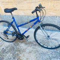 CITYBIKE R28 ER26 MTB 26RAPPORTI e Bianchi 