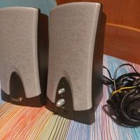 Casse per pc o tv con jack maschio