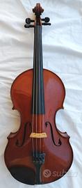 Viola Stelzner numerata e catalogata