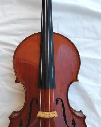 Viola Stelzner numerata e catalogata