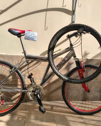 Mountain bike Coppi 