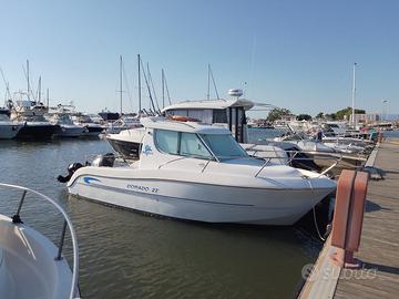 Sessa marine dorado 22
