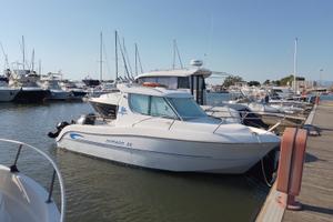 Sessa marine dorado 22
