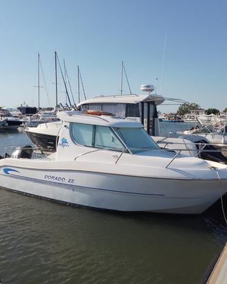 Sessa marine dorado 22