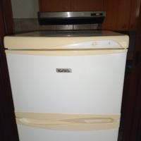 frigorifero da esterno ignis