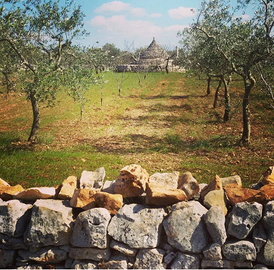 Terreno con piccolo trullo a Sammichele di Bari