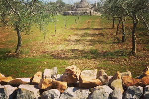 Terreno con piccolo trullo a Sammichele di Bari