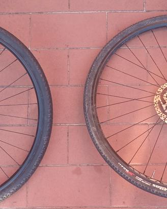Cerchi MTB 29" completi di copertoni stradali 
