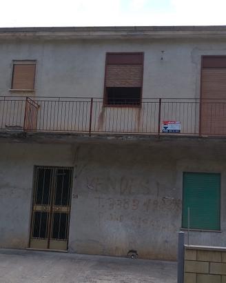 Perco dei Nebrodi 