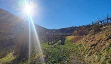 Immobile in asta di 8923 m² a Rovereto