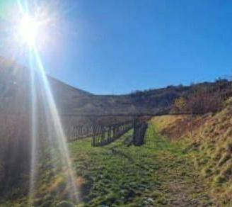 Immobile in asta di 8923 m² a Rovereto