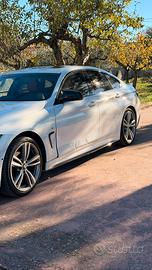 Portiera anteriore e parafango - BMW F36 420d 2014