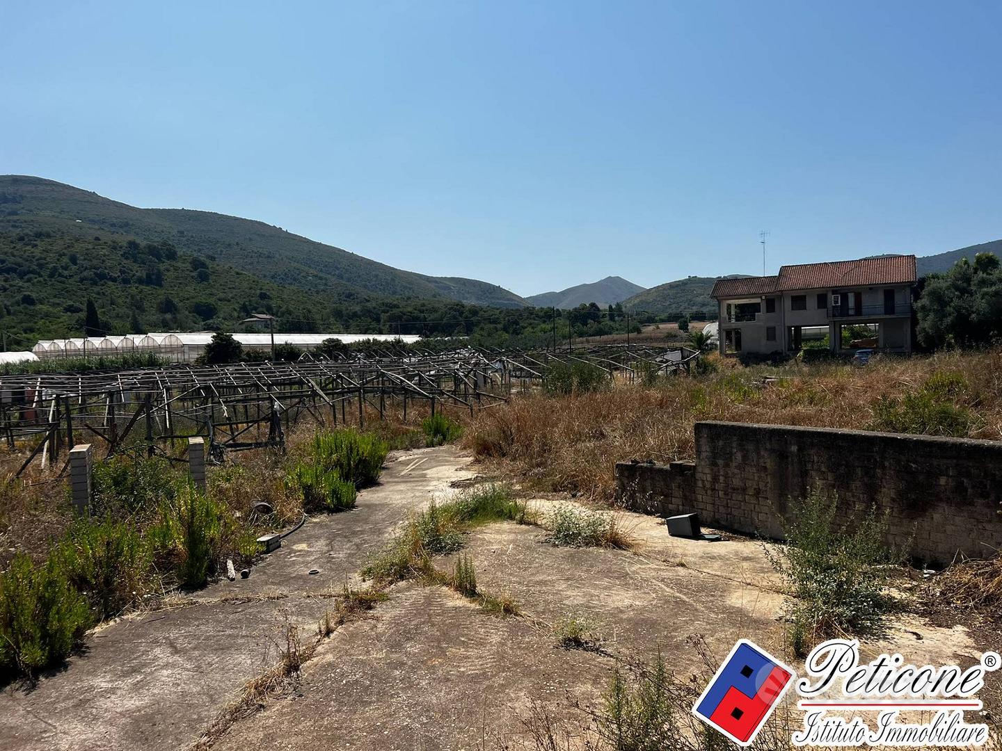 Terreno agricolo - Fondi - Vista 2