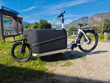 bici Cargo/porta bambini 