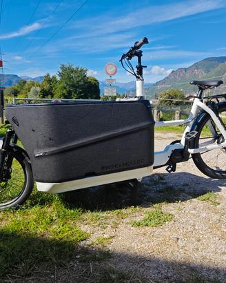 bici Cargo/porta bambini 