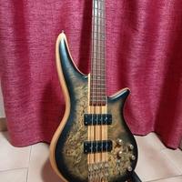 Jackson Pro Spectra IV SBP Transparent Black Burs