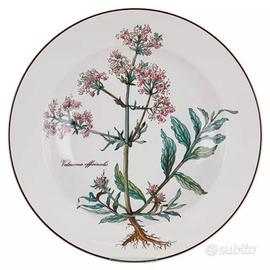 Botanica Villeroy Boch piatti fondi 