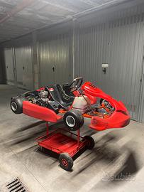 Kart Intrepid 100cc IAME Parilla + ricambi