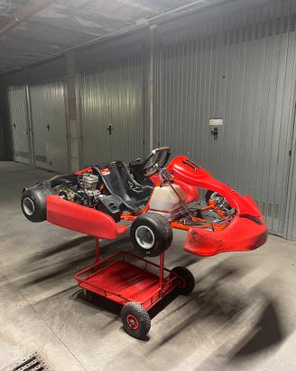 Kart Intrepid 100cc IAME Parilla + ricambi