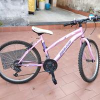 Bicicletta bimba 