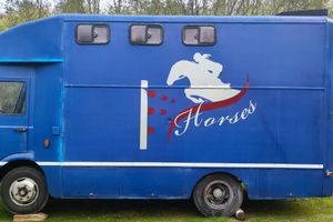 Camion trasporto cavalli OM 1975